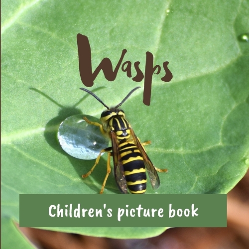 Wasps