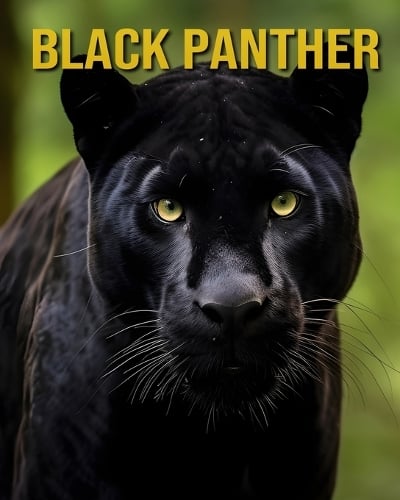 Black Panther