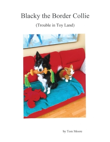 Blacky the Border Collie