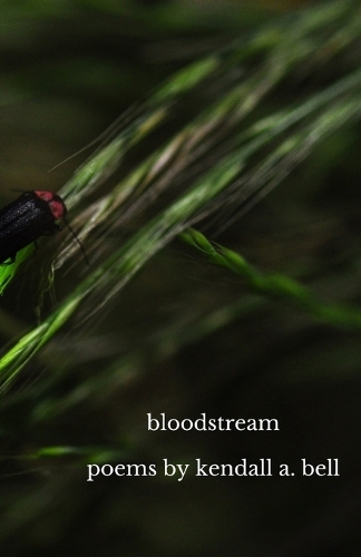bloodstream