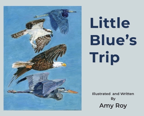 Little Blue's Trip