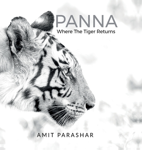 Panna