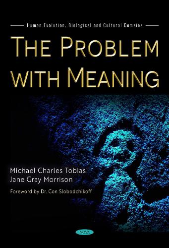 The Problem with Meaning