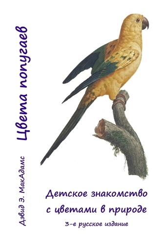 Цвета попугаев