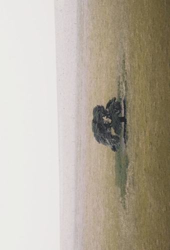 Ground