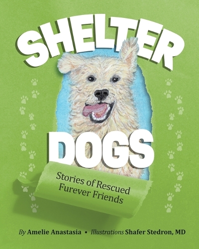 Shelter Dogs