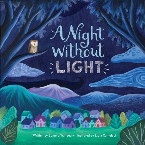 A Night Without Light