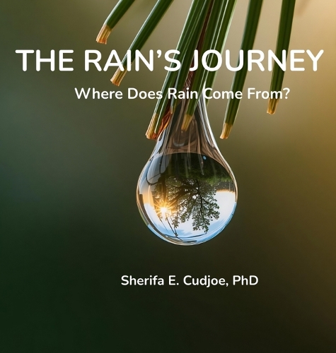 The Rain's Journey