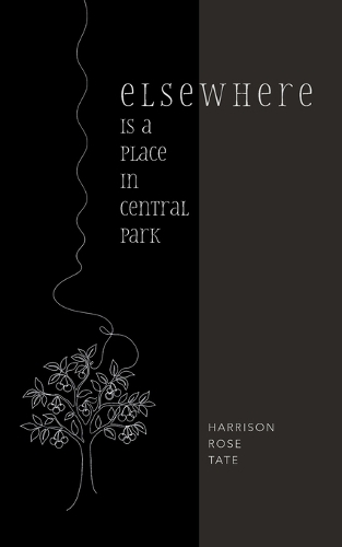 Elsewhere is a Place in Central Park