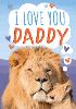 I Love You, Daddy
