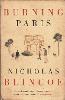 Burning Paris