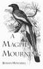 A Magpie Mourning