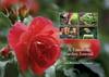 A Timeless Garden Journal