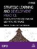 Strategic Learning and Development Practice