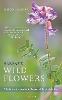 Harrap's Wild Flowers