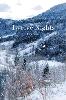 Twelve Nights