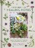 Foraging for Healing Herbs