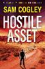 Hostile Asset