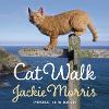 Cat Walk