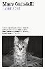 Lost Cat