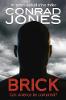 Brick