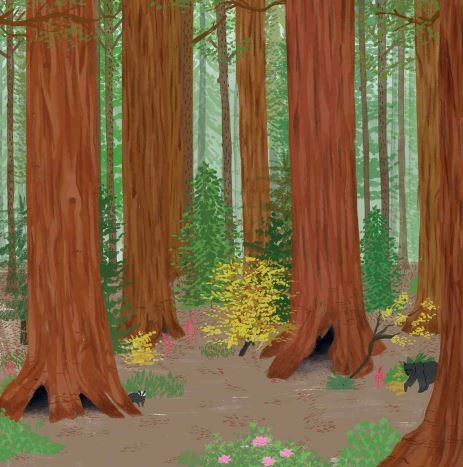 Stickertopia The Forest