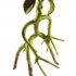 Poseable Bowtruckle