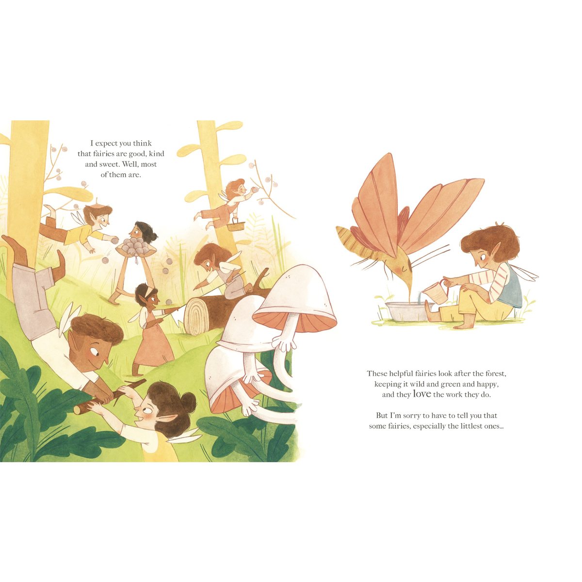 The Grumpy Fairies