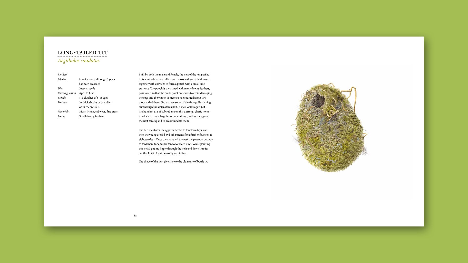 Nests