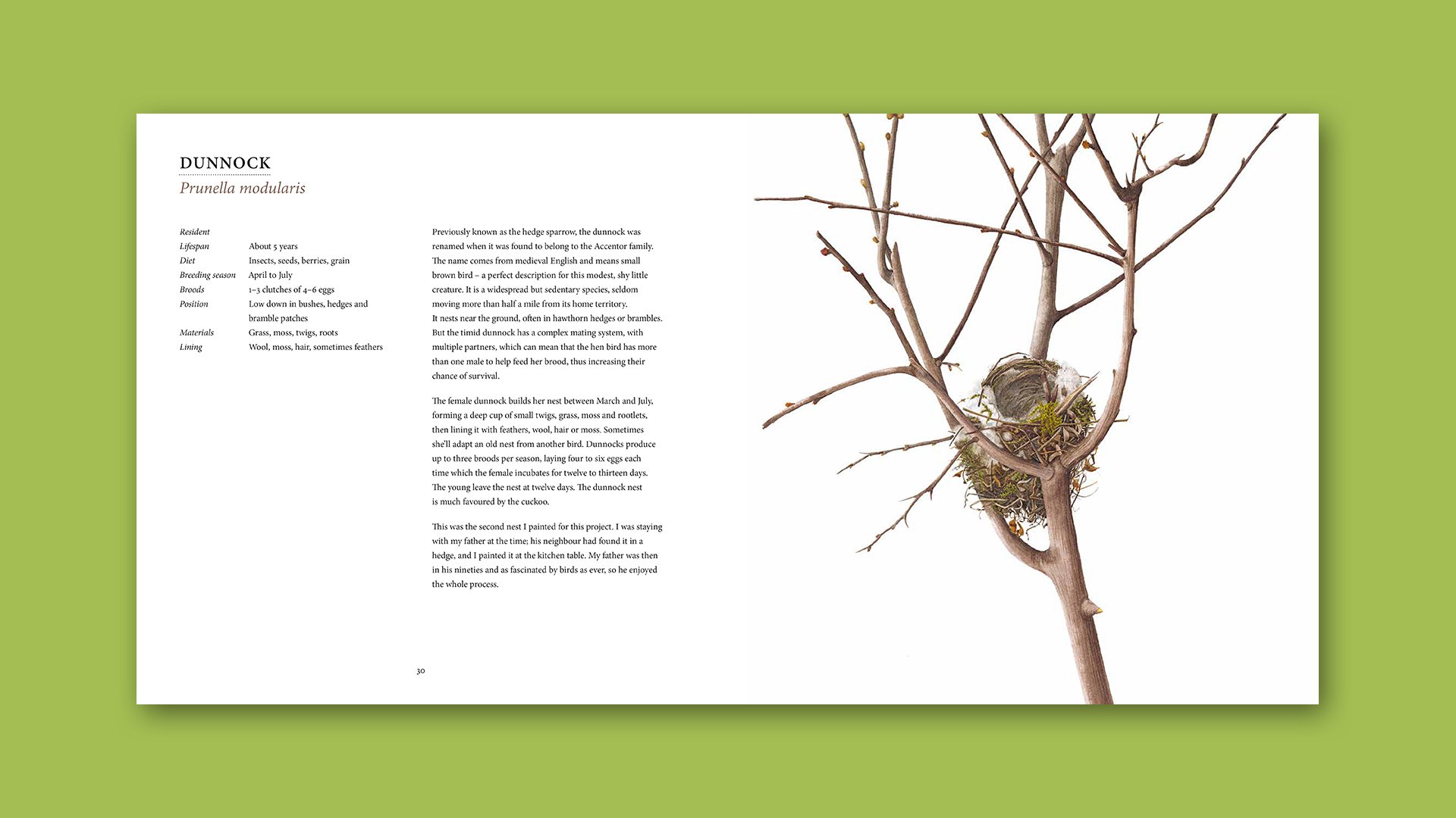 Nests