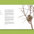 Nests