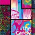 The Candy House