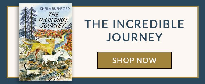 The Incredible Journey