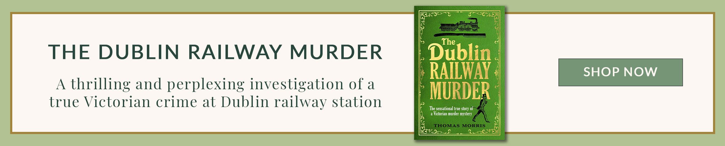 Dublin Railway Murder Blog