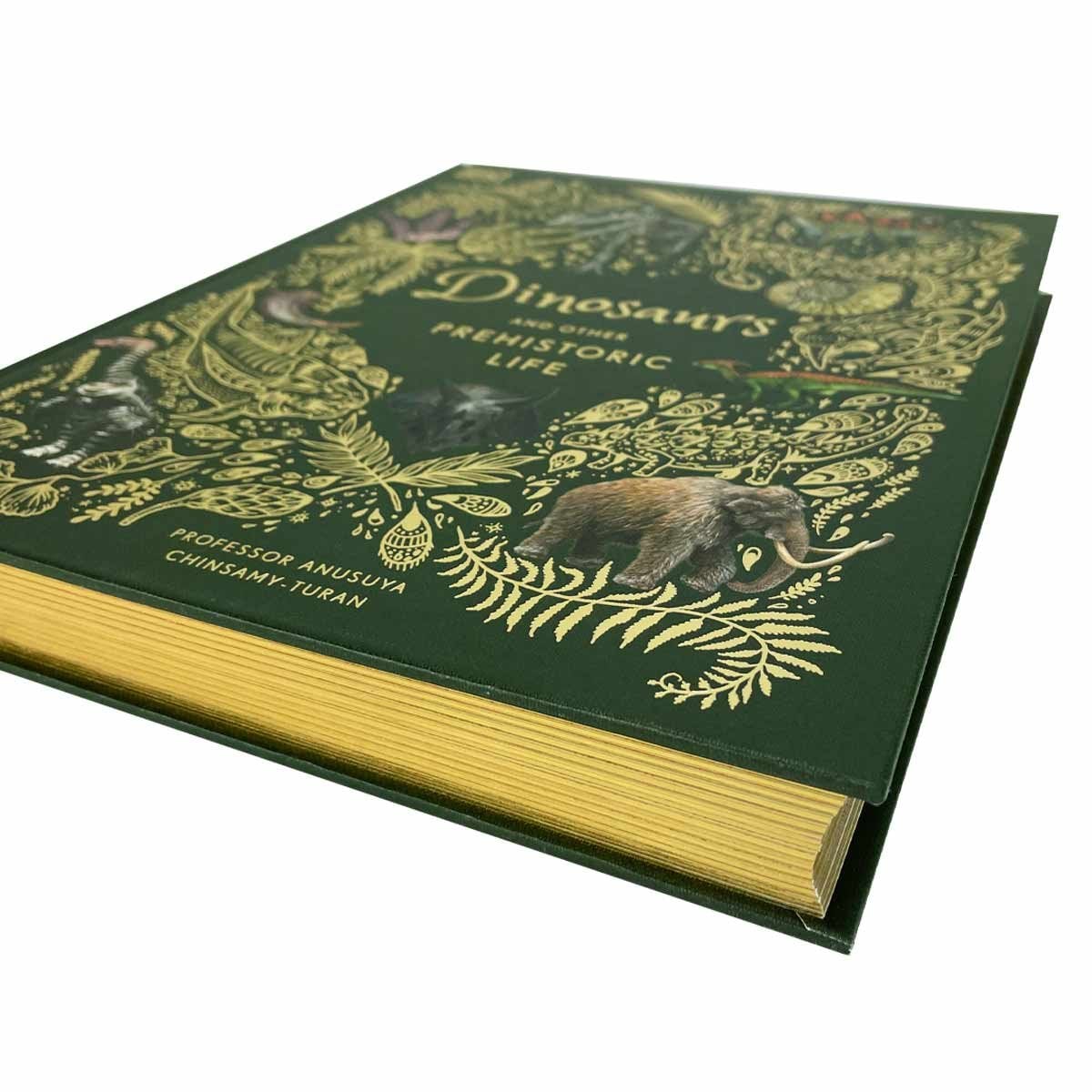 Dinosaurs and Other Prehistoric Life by Prof Anusuya Chinsamy