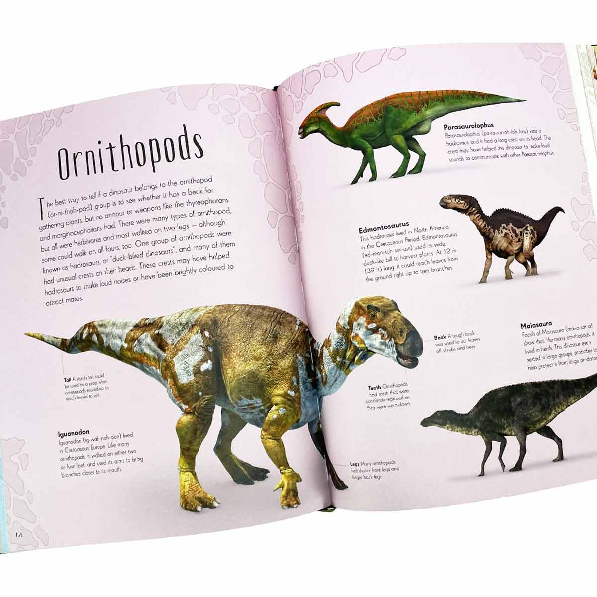 Dinosaurs and Other Prehistoric Life by Prof Anusuya Chinsamy