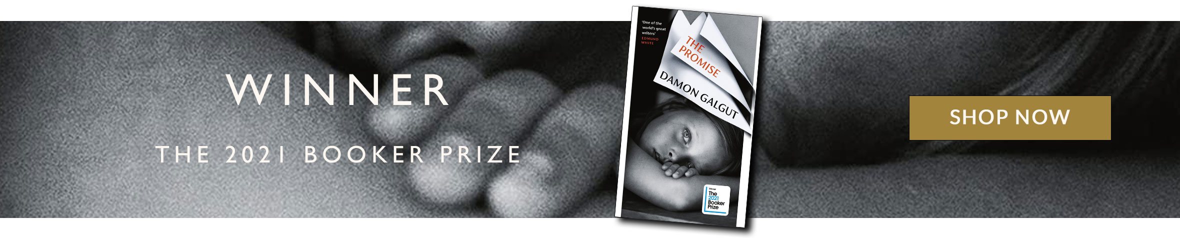 Damon Galgut The Promise