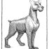Impossible Creatures