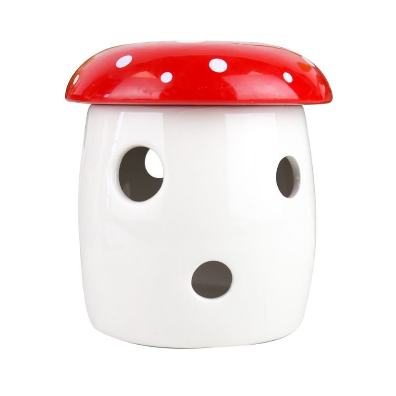 Mushroom Grow Kit