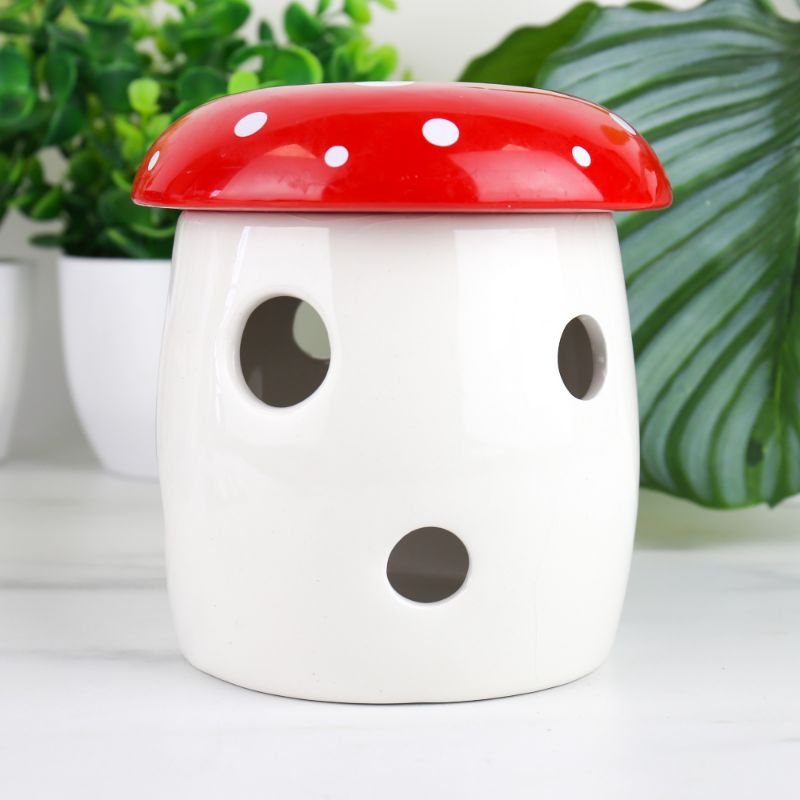 Mushroom Grow Kit