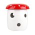 Mushroom Grow Kit