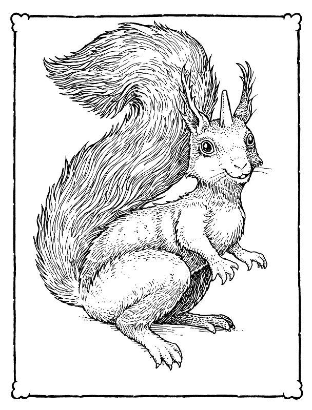 Impossible Creatures