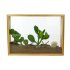 Vertical Garden Diy Kit