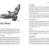 Springwatch: Birdtopia