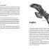 Springwatch: Birdtopia