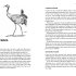 Springwatch: Birdtopia
