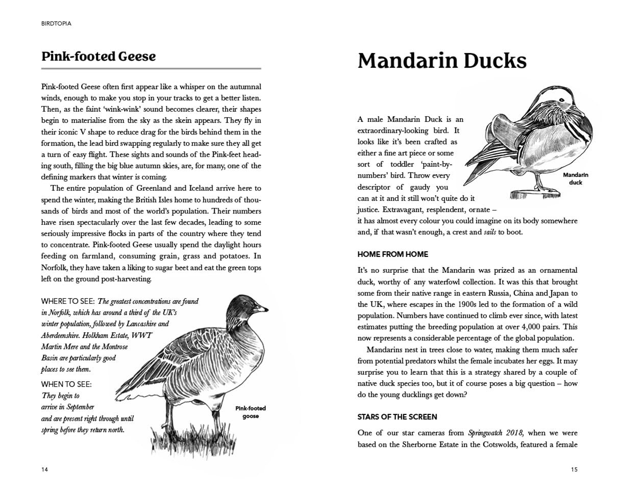 Springwatch: Birdtopia