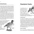 Springwatch: Birdtopia