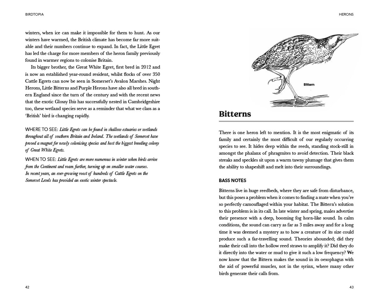 Springwatch: Birdtopia
