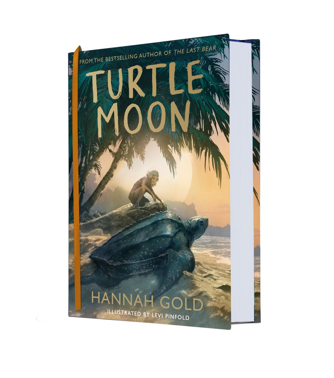 Turtle Moon
